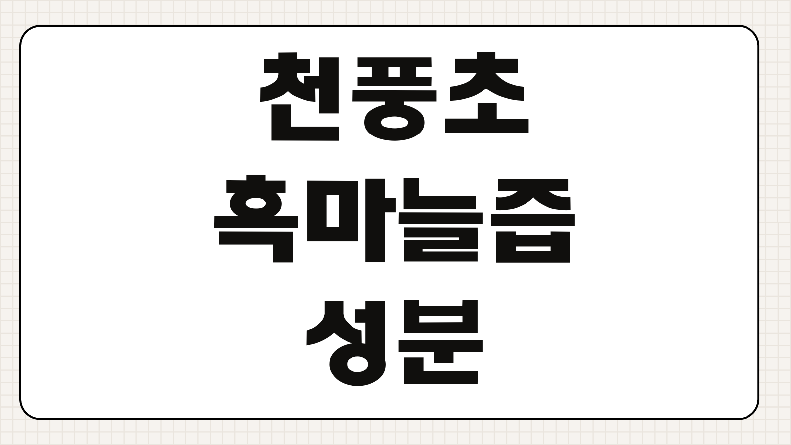 천풍초 흑마늘즙 성분 효능 복용법 부작용 섭취시간 선택 포인트